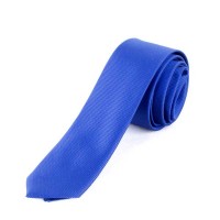 Cravate Bleu Roi Pour Homme TE500