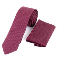 Cravate à Motifs pointillés avec poche de costume Bordeaux TE504