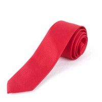 Cravate Rouge Pour Homme TE500