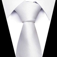Cravate Pointillée Blanche Pour Homme TE508