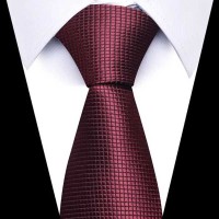 Cravate Pointillée Bordeaux Pour Homme TE506