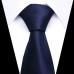 Cravate Pointillée Marine Pour Homme TE502