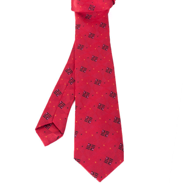 Cravate Homme à Motifs – Style Chic et Original C440