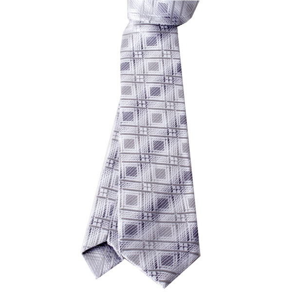 Cravate Homme à Motifs – Style Chic et Original C444