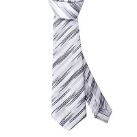 Cravate Homme à Motifs – Style Chic et Original C443