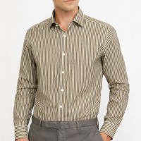 Chemise Rayée Homme en Coton Premium – Coupe Ajustée Élégante 2603K