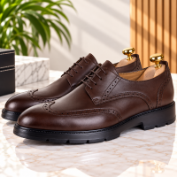 Chaussures Richelieu Homme Cuir Confortable et Légère 076M