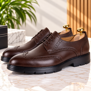 Chaussures Richelieu Homme Cuir Confortable et Légère 076M