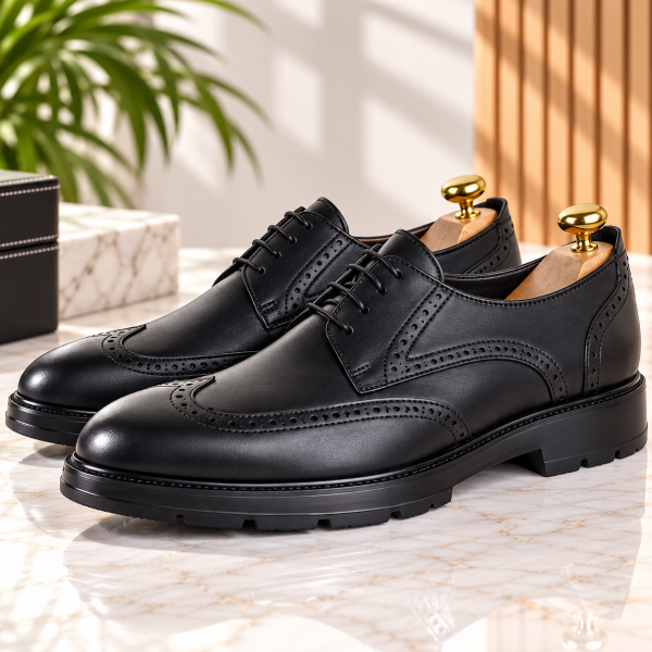 Chaussures Richelieu Homme Cuir Confortable et Légère 076N
